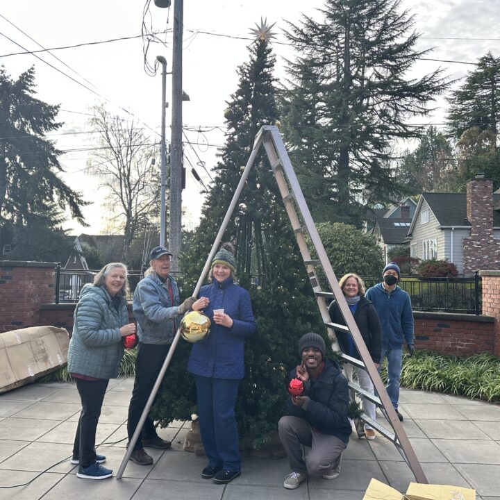 Advent Tree